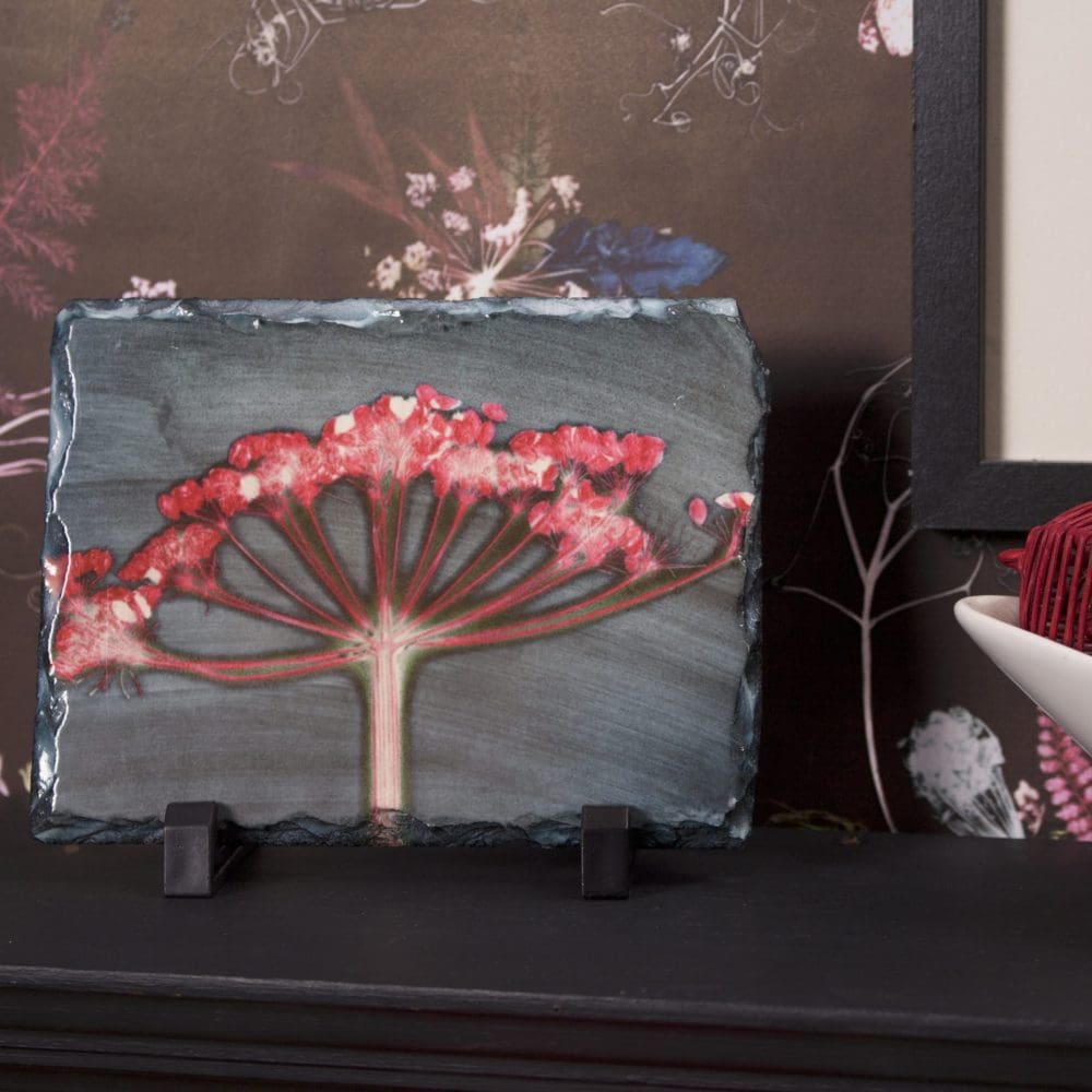 Iconic Crowds of Pink Slate Art Print, Home Accessory and Gift