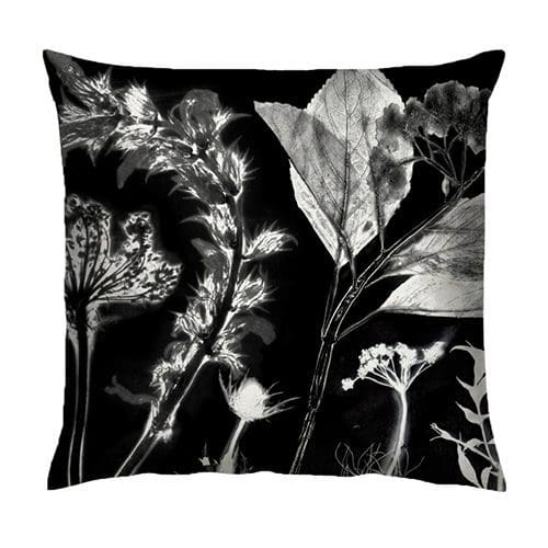 Springs Spectre Cushion