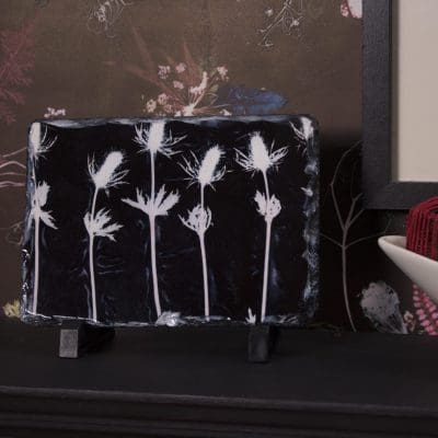 Midnight Gentrified Thistles Slate Art Print, Home Accessory and Gift