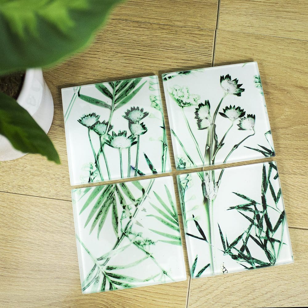 Hot House Fronds | Green & White Set of Glass Coasters