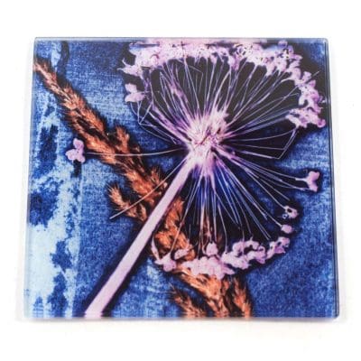 Blue Allium Rush Botanic Style Glass Coaster