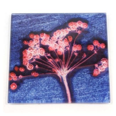 Blue Joyous Spread Botanic Style Glass Coaster