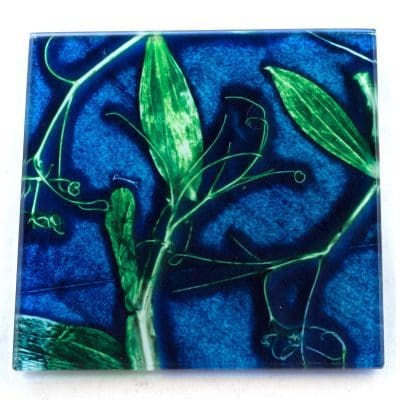 Blue Sweet Curves Botanic Style Glass Coaster