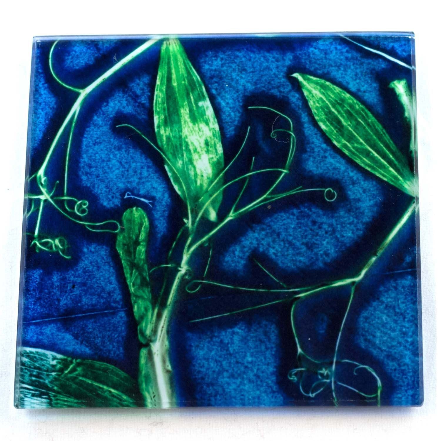 Blue Sweet Curves Botanic Style Glass Coaster