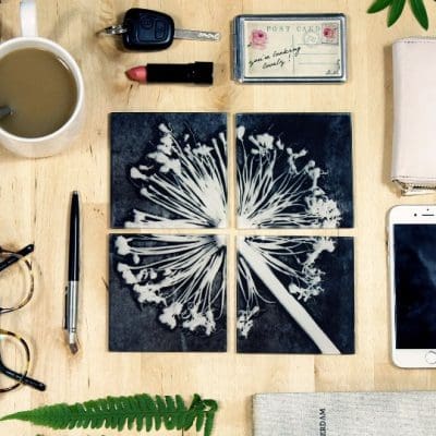 Alliums | White & Charcoal Grey Set of Glass Coasters