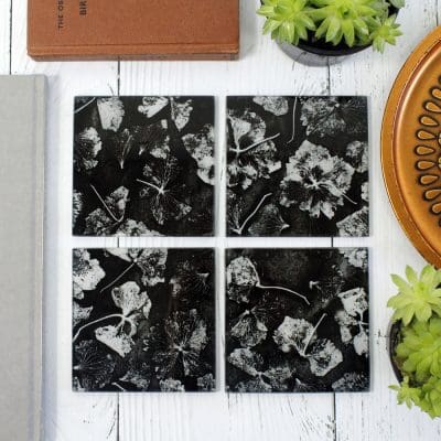 Monochrome Hydrangea | Black & White Set of Glass Coasters