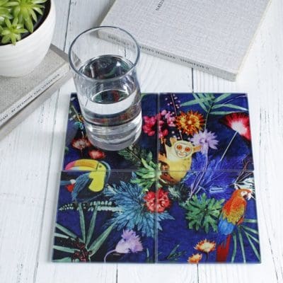 Jungle Surprise | Colourful Hidden Animal Set of Glass Coasters