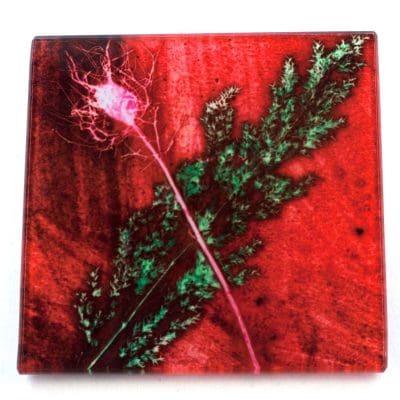 Festive Grass Botanic Style Glass Coaster