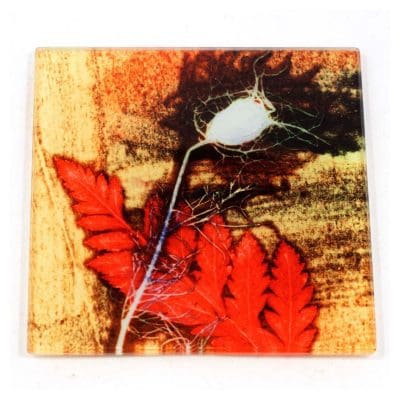 Furnished Grass Botanic Style Glass Coas