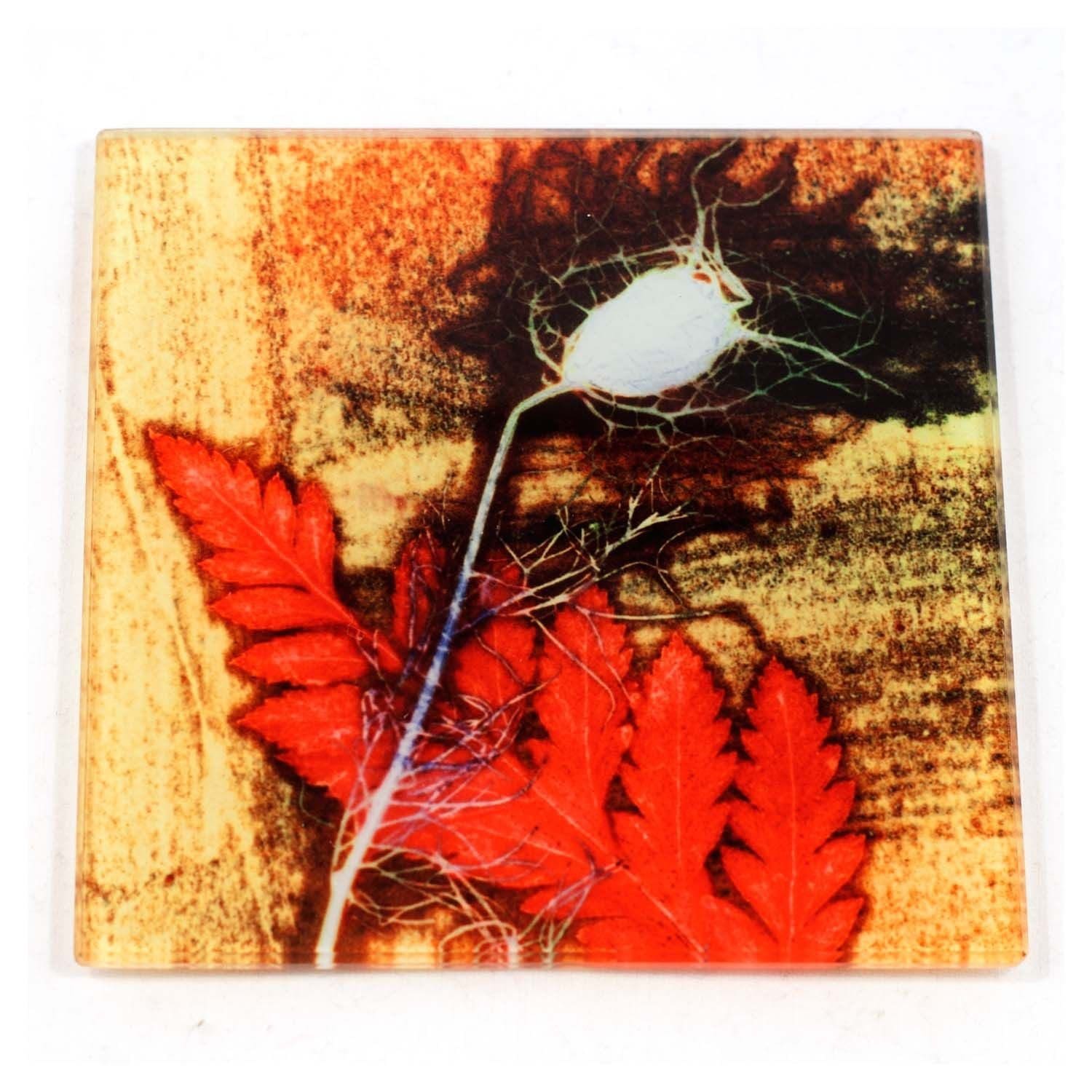 Furnished Grass Botanic Style Glass Coas