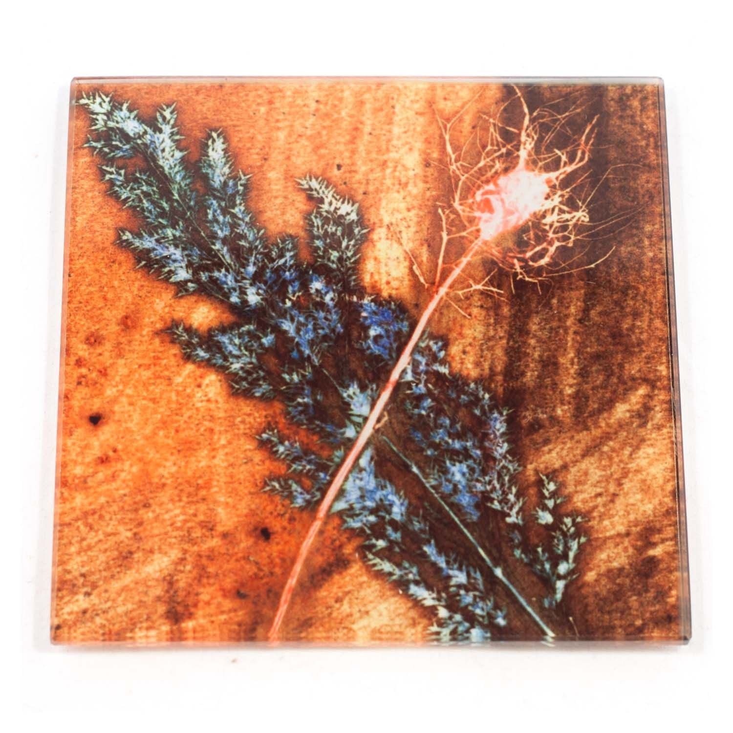 Golden Grass Botanic Style Glass Coaster