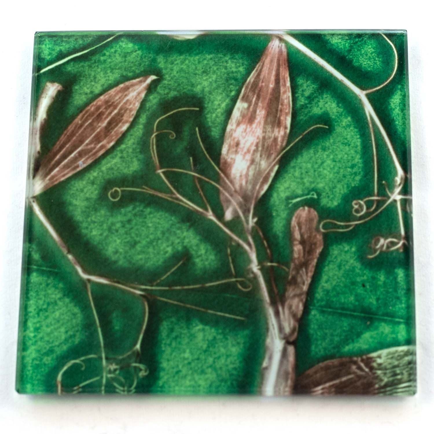 Green Sweet Curves Botanic Style Glass Coaster