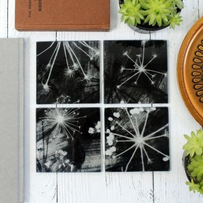 Monochrome Cow Parsley | White & Black Set of Glass Coasters