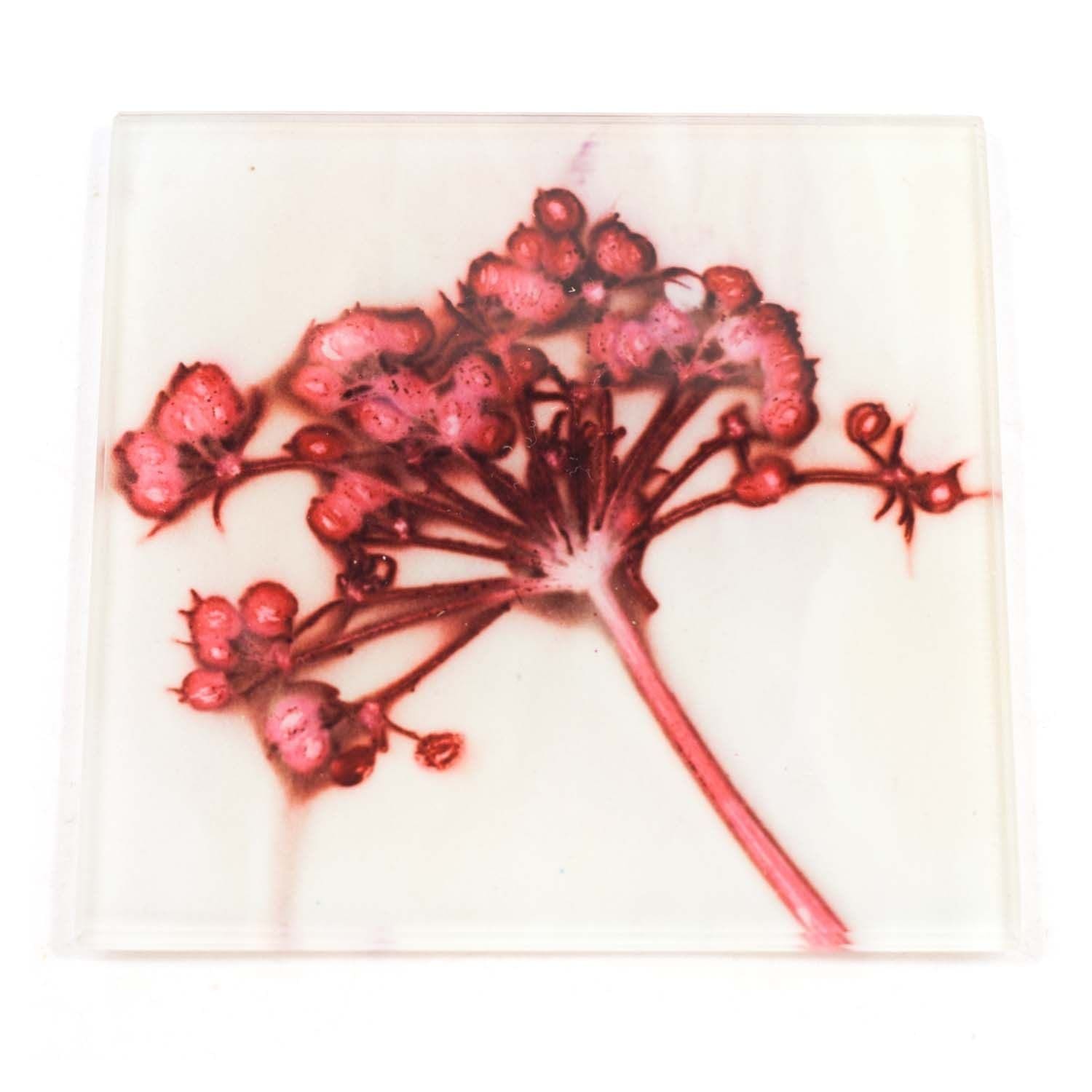 Joyous Spread 2 Botanic Style Glass Coaster