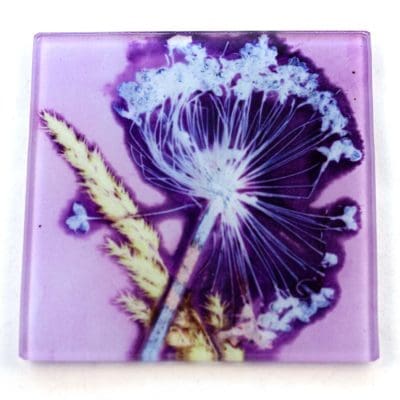 Lilac Allium Rush Botanic Style Glass Coaster