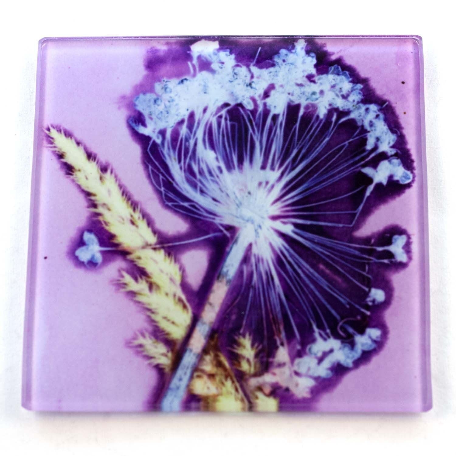 Lilac Allium Rush Botanic Style Glass Coaster