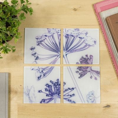 Fennel Canopy | Purple & White Set of Glass Coasters