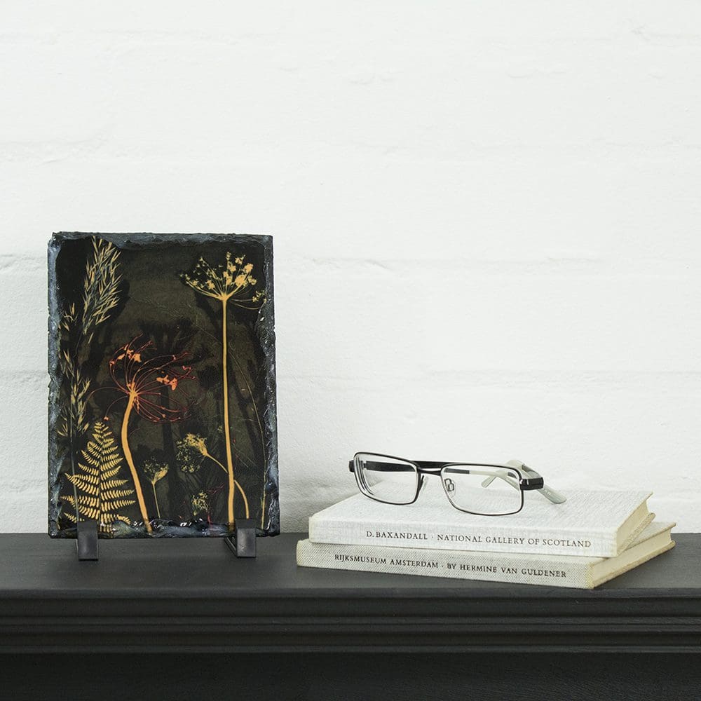 Pink Umbellifer Slate Art Print - Home Accessory and Gift