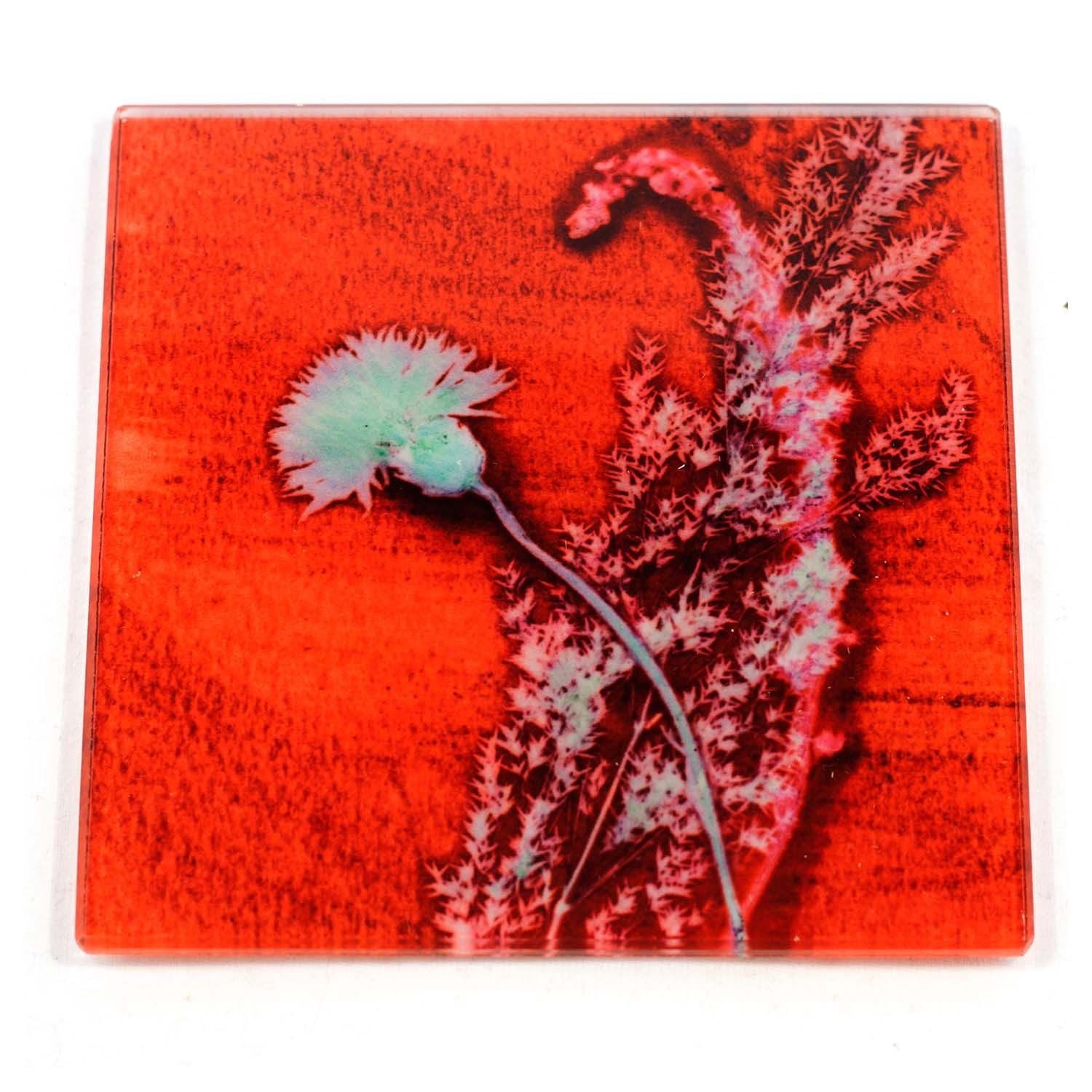 Red Grass Sympathy Botanic Style Glass Coaster