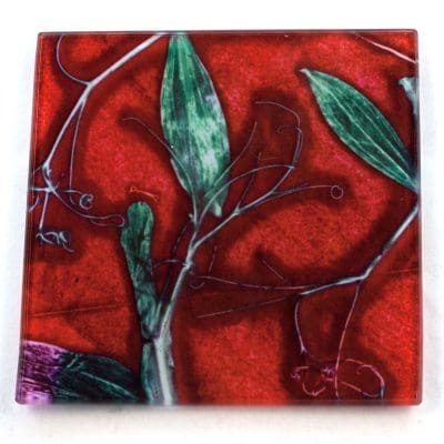 Red Sweet Curves Botanic Style Glass Coaster