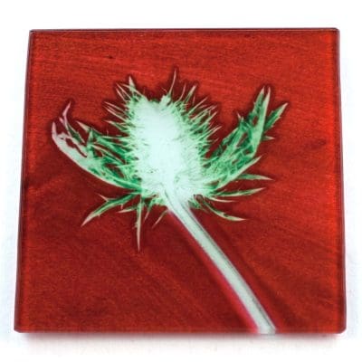 Red Thistle Botanic Style Glass Coaster