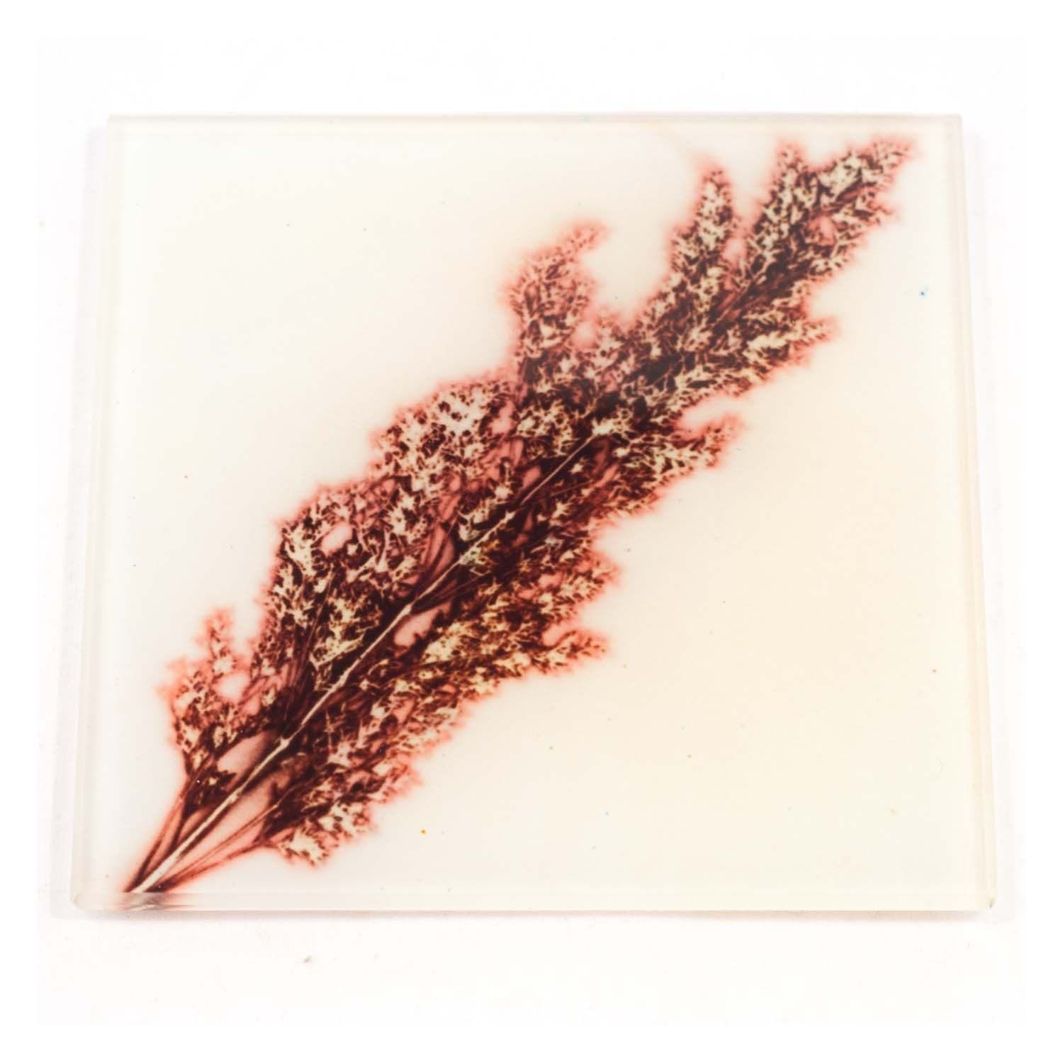 Sepia Grass Botanic Style Glass Coaster