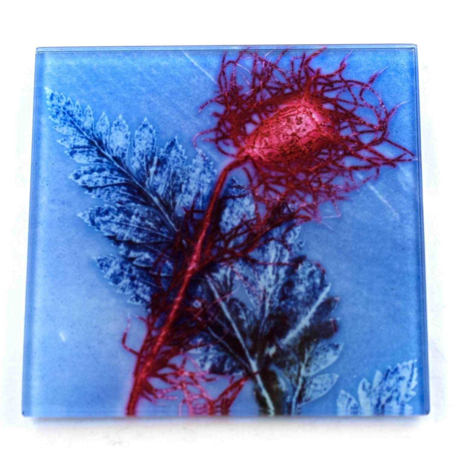 Sky Grass Botanic Style Glass Coaster