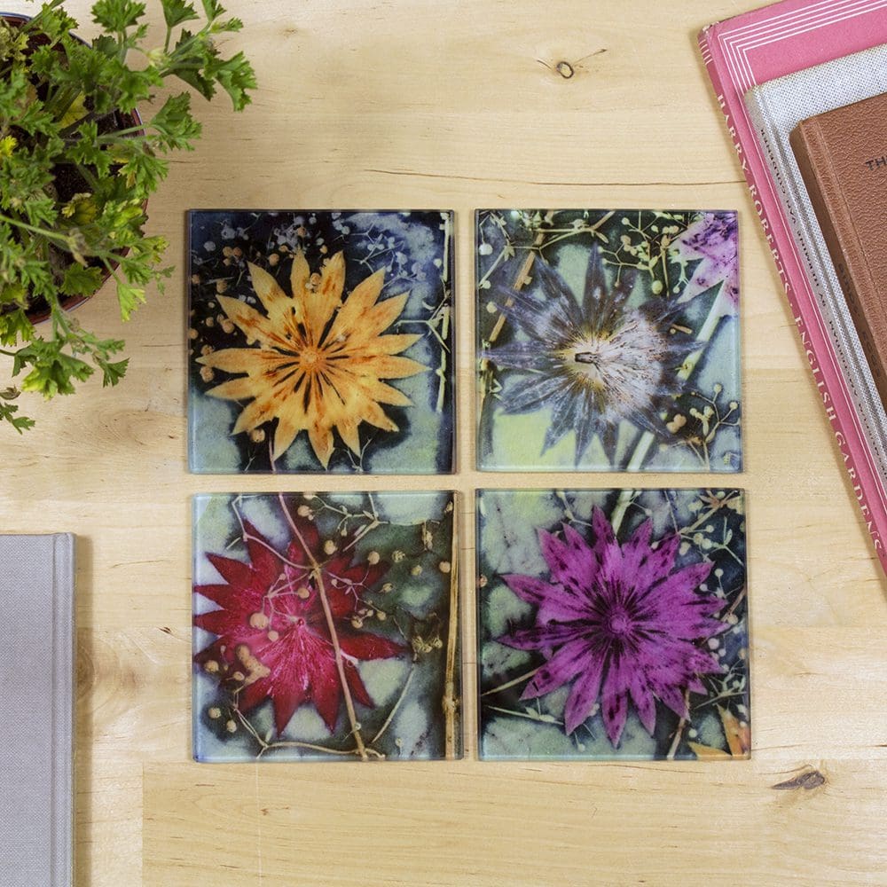 Branching Astrantia | Purple & Orange Set of Glass Coasters