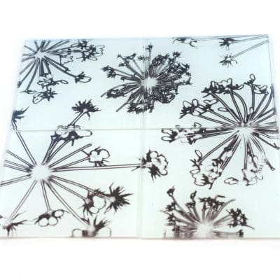 White Spread Cow Parsley | Black & White Set of Glass Coasters