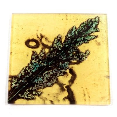 Yellow Grass, Glass Coaster, Unique Nature Inspired Design