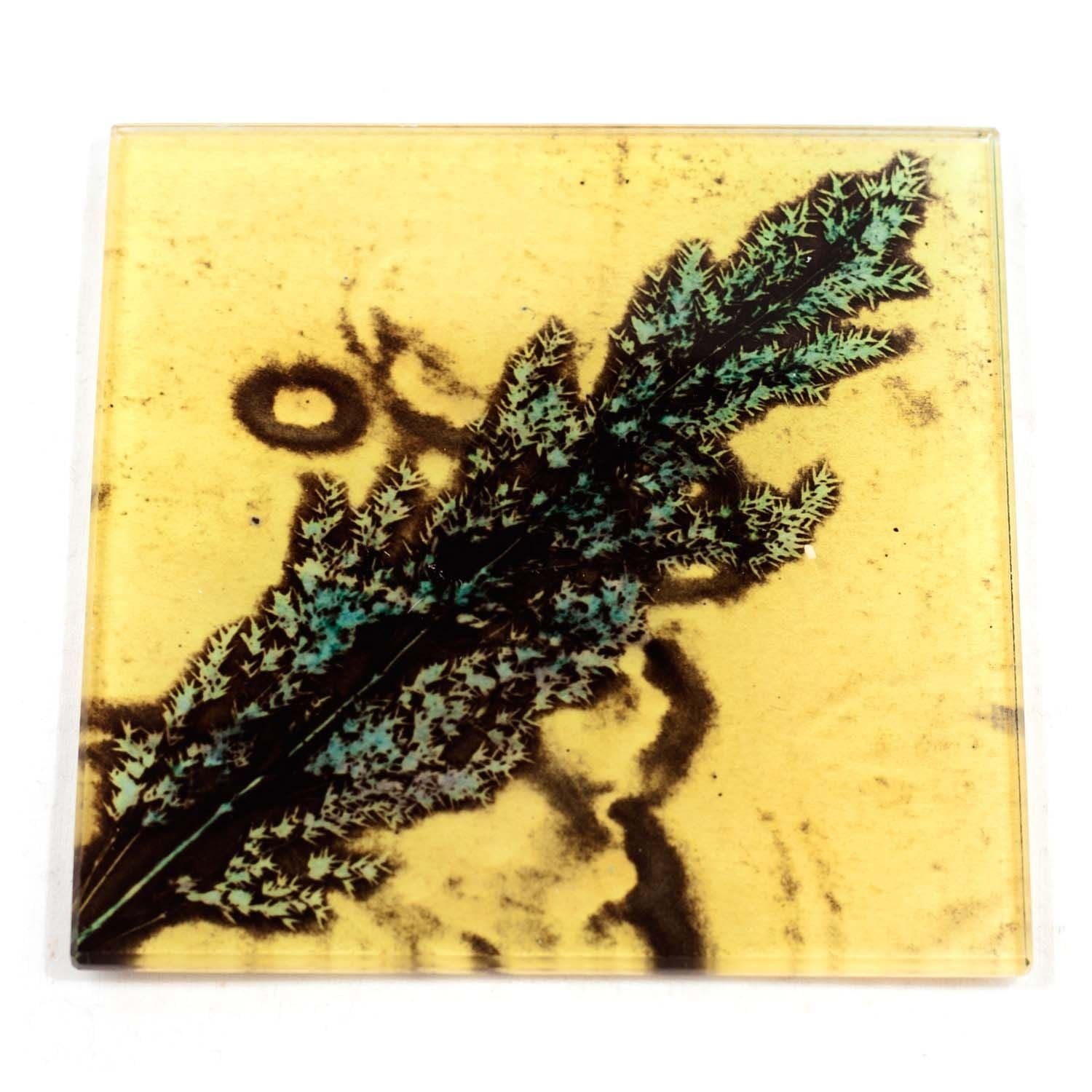 Yellow Grass, Glass Coaster, Unique Nature Inspired Design