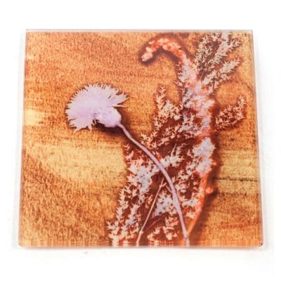 Yellow Grass Sympathy Botanic Style Glass Coaster