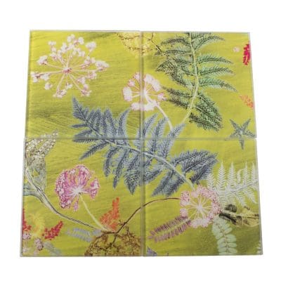 Now Thats Something - Lime | Pink & Green Set of Glass Coasters