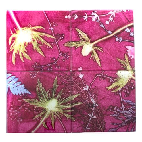 Pink Thistle | Pink & Green Set of Glass Coasters