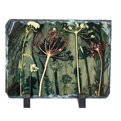 Friary Surprise Slate Art Print, Home Accessory and Gift