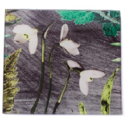 Snowdrop Botanic Style Glass Coaster
