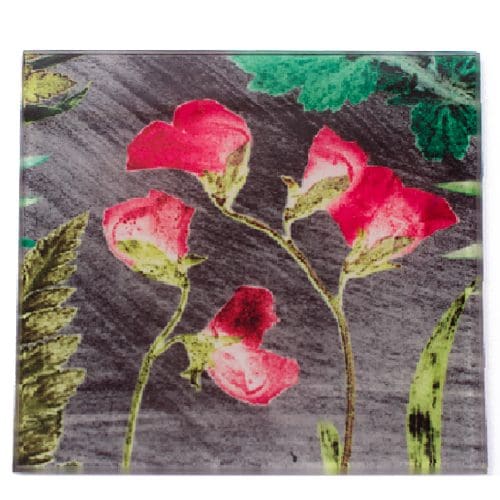 Sweet Pea Botanic Style Glass Coaster