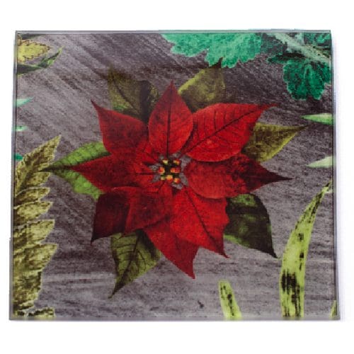 Poinsettia Botanic Style Glass Coaster