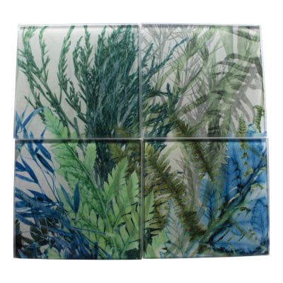 Forage | Green Fern Design Set of Glass Coasters