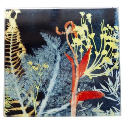 Secret Garden 2 | Dark Floral Single Glass Coaster