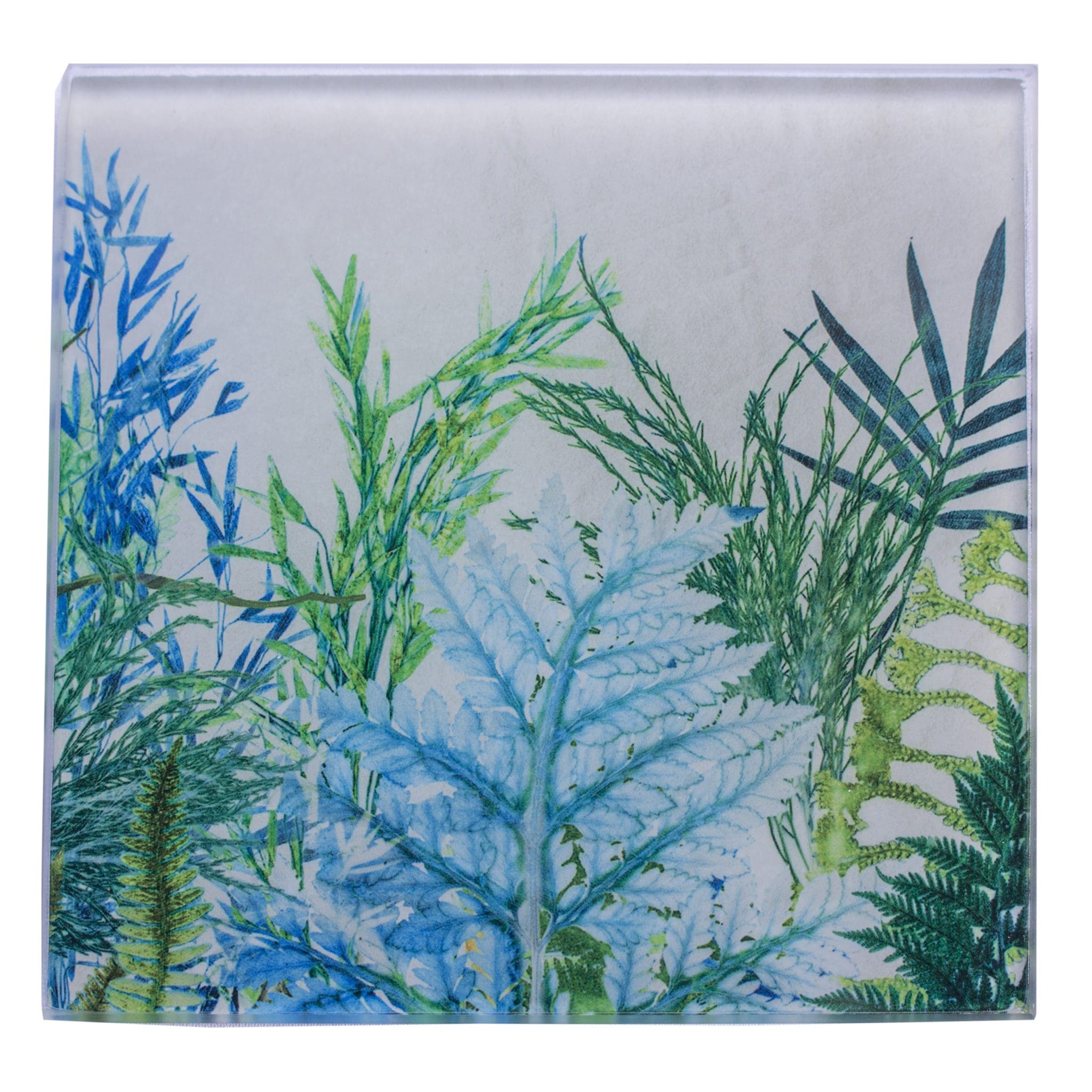 Forage 1 | Cream & Green Single Glass Coaster