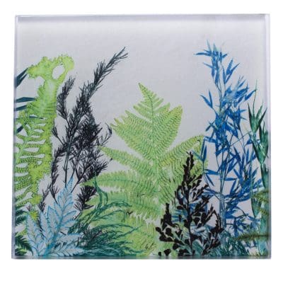 Forage 2 | Cream & Green Single Glass Coaster