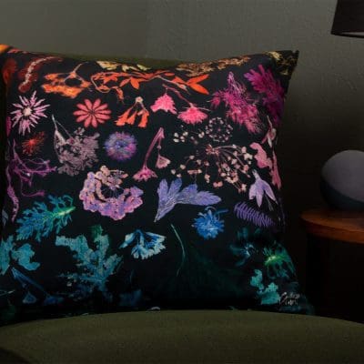 Specimen Study | Rainbow Bright | Floral Print Cushion