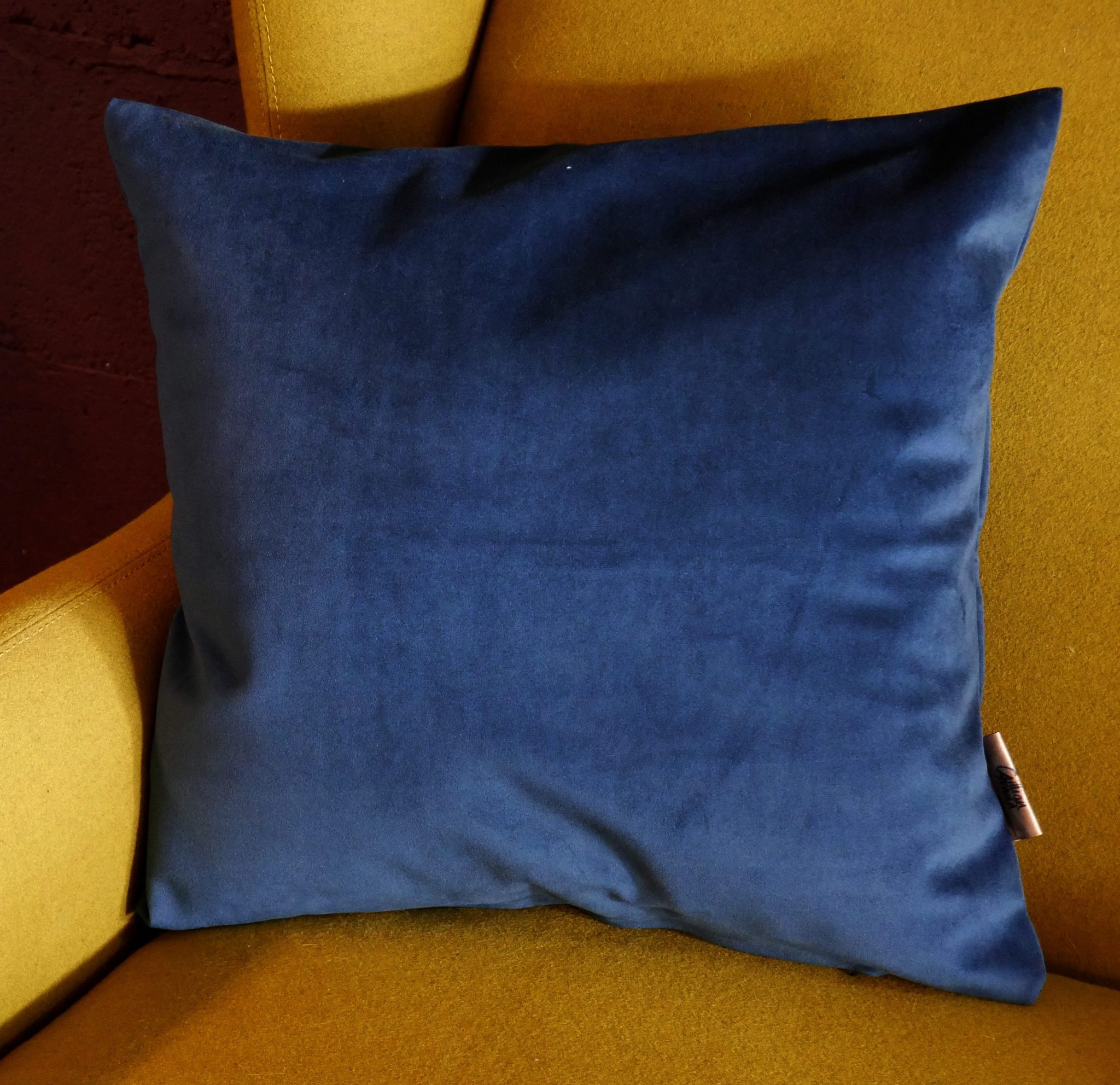 Velvet Block Colour Cushion